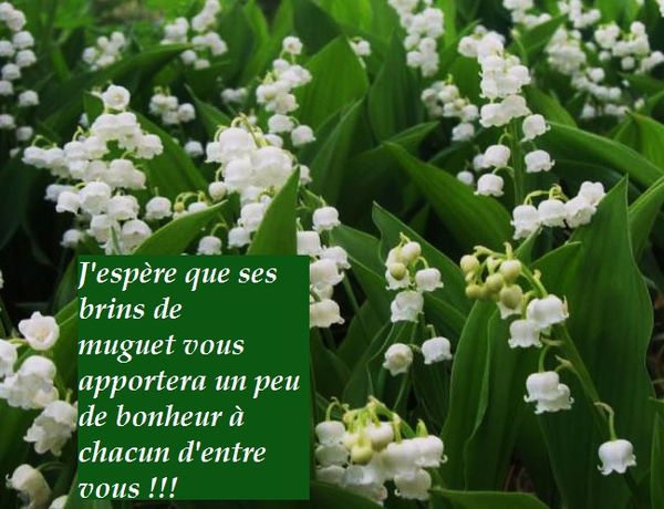 1-Muguet.jpg